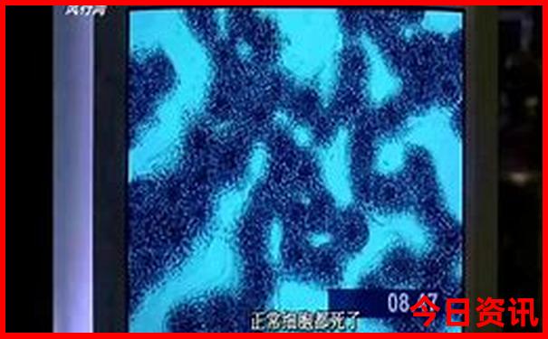 成都旅游攻略5天自由行攻略